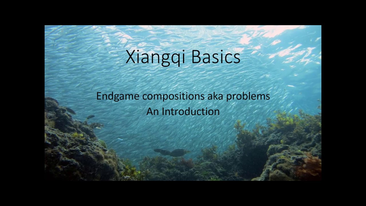Basic Xiangqi Endgames You Must Know: The Essential Guide for Beginners